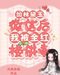加林黛玉微信后，我被全红楼供奉