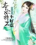 纨绔傻妃：本妃特工不好惹