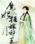 魔妃拒嫁邪王小说全文免费阅读