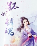 狐妃小说