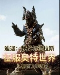 迪迦迪格尔
