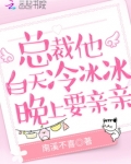 总裁他白天冷冰冰,晚上要亲亲.商应寒