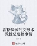 霍格沃茨的变形术教授总要搞事情TXT下载八零