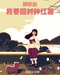 辞职后,我要回村种红薯