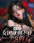 重生snh女团小说