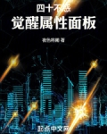 四十不惑,觉醒属性面板小说