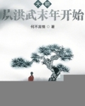 大明：从洪武末年开始