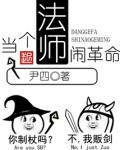 当个法师闹革命 下载