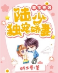 萌宝来袭:陆少独宠娇妻小说