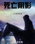 死亡阴影英雄排名