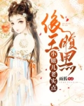 俊王腹黑:小妞儿老实点 雨狐