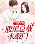 二婚总裁前妻全文免费阅读