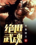 绝世武魂陈枫身世