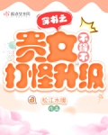 穿书之贵女不得不打怪升级