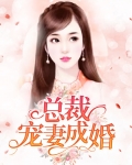 错嫁成婚,总裁的私宠新妻