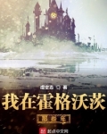 我在霍格沃茨那些年
