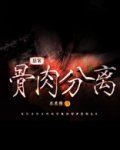 悬案骨肉分离有声小说