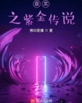 盘龙之紫金传说全本下载