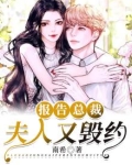 报告总裁,夫人又跑了