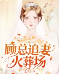 天降六宝首席总裁