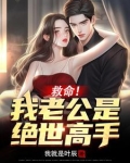 救命！我老公是绝世高手！