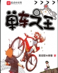单车之王小说