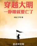 穿越大明当言官的小说