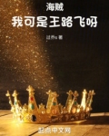 海贼我可是王路飞呀免费