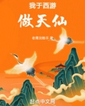 我于西游做天仙小说