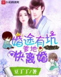 婚途有坑:爹地,快离婚