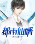 都市仙婿电视剧完整版免费观看