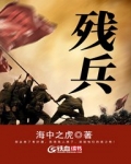 残兵小说