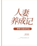 人妻养成记划小说
