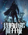 我的小弟能升级笔趣阁