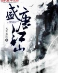 盛唐江山 小说
