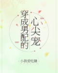 穿成男配的心尖宠百度云网盘