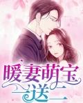 暖妻萌宝一送二