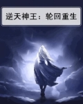 逆天神王：轮回重生