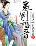 清穿之第一侧福晋晋江