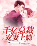 千亿总裁宠妻上瘾免费阅读