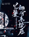 主角有丫鬟的小说