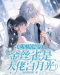 娇娇甜爆！冰山总裁化身宠妻狂魔
