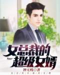 女总裁的超级女婿