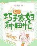 农门巧手寡妇种田忙