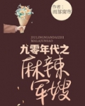 九零年代之麻辣军嫂