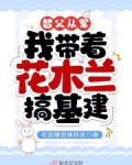 替父从军花木兰好用吗