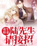 重生娇妻：陆先生，请接招