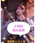 小司机闯大世界
