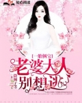 一胎俩宝,老婆大人别想逃 第2076章