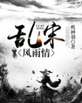 乱宋风雨情